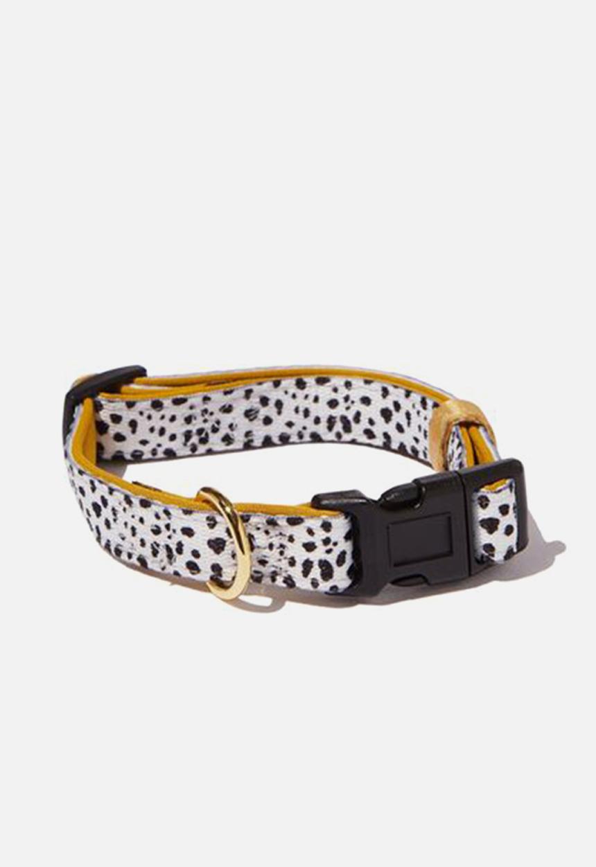Typo - Pet collar - black & mustard