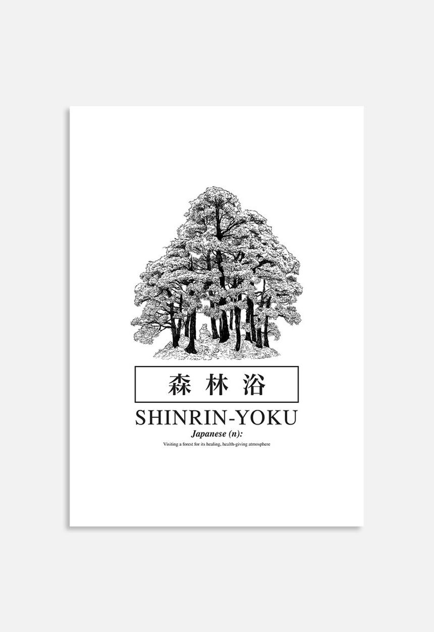 Sixth Floor - Shinrin-yoku
