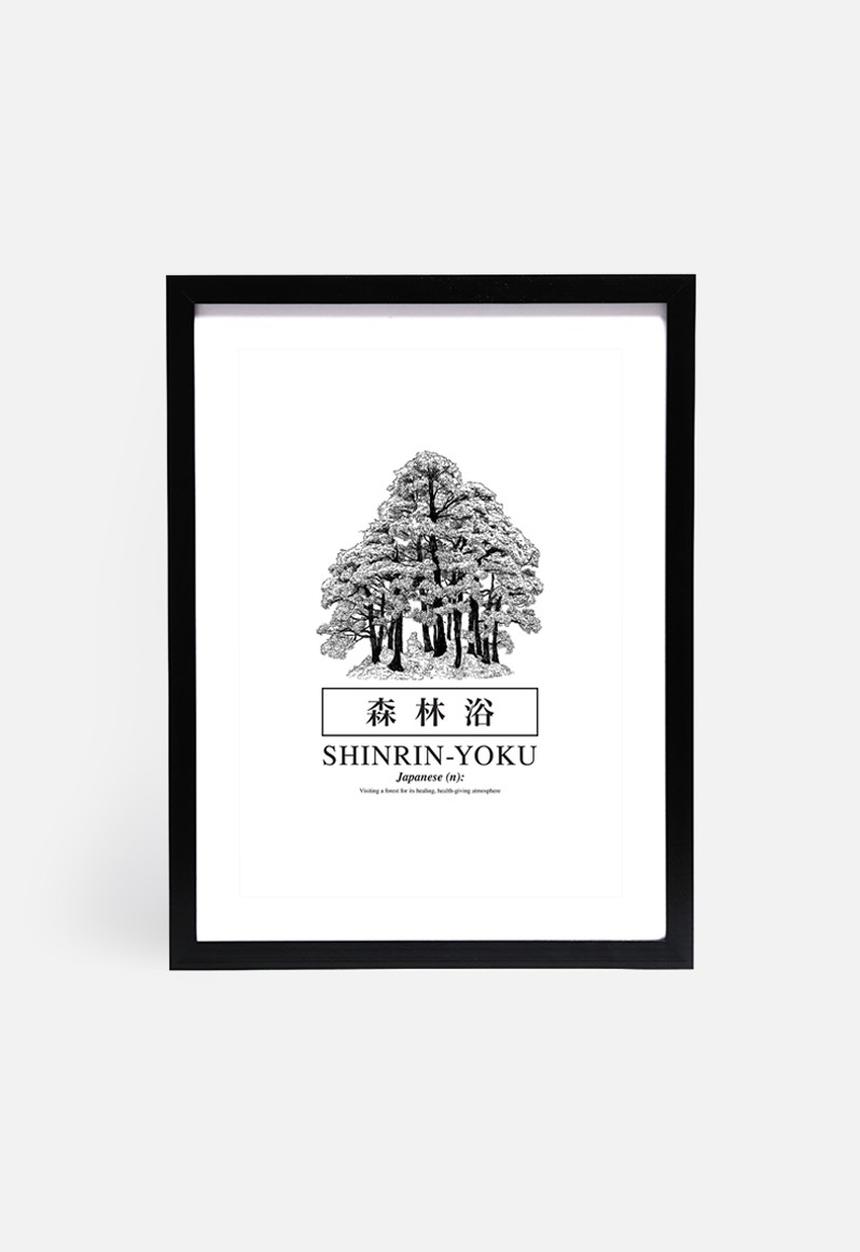Sixth Floor - Shinrin-yoku