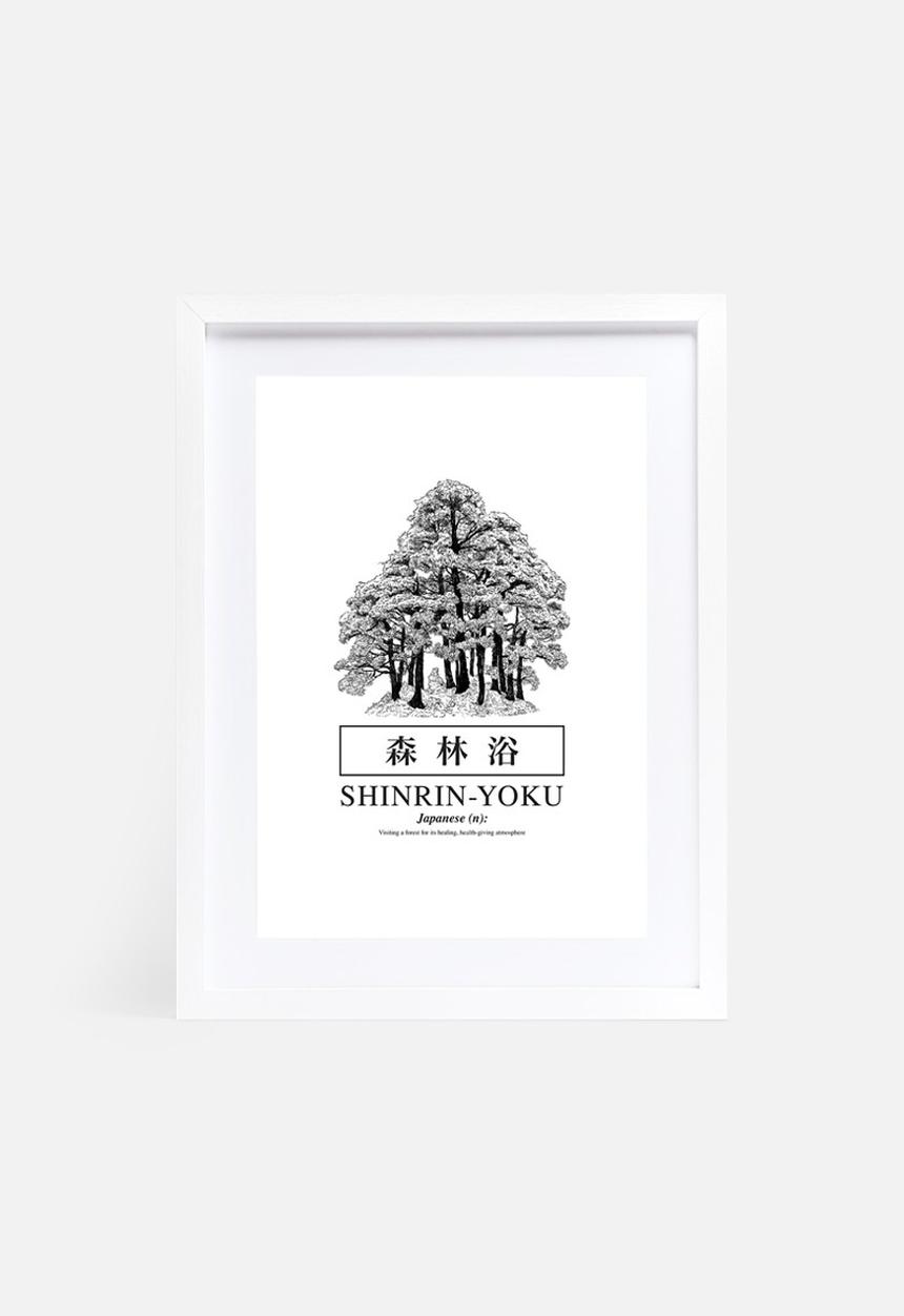 Sixth Floor - Shinrin-yoku