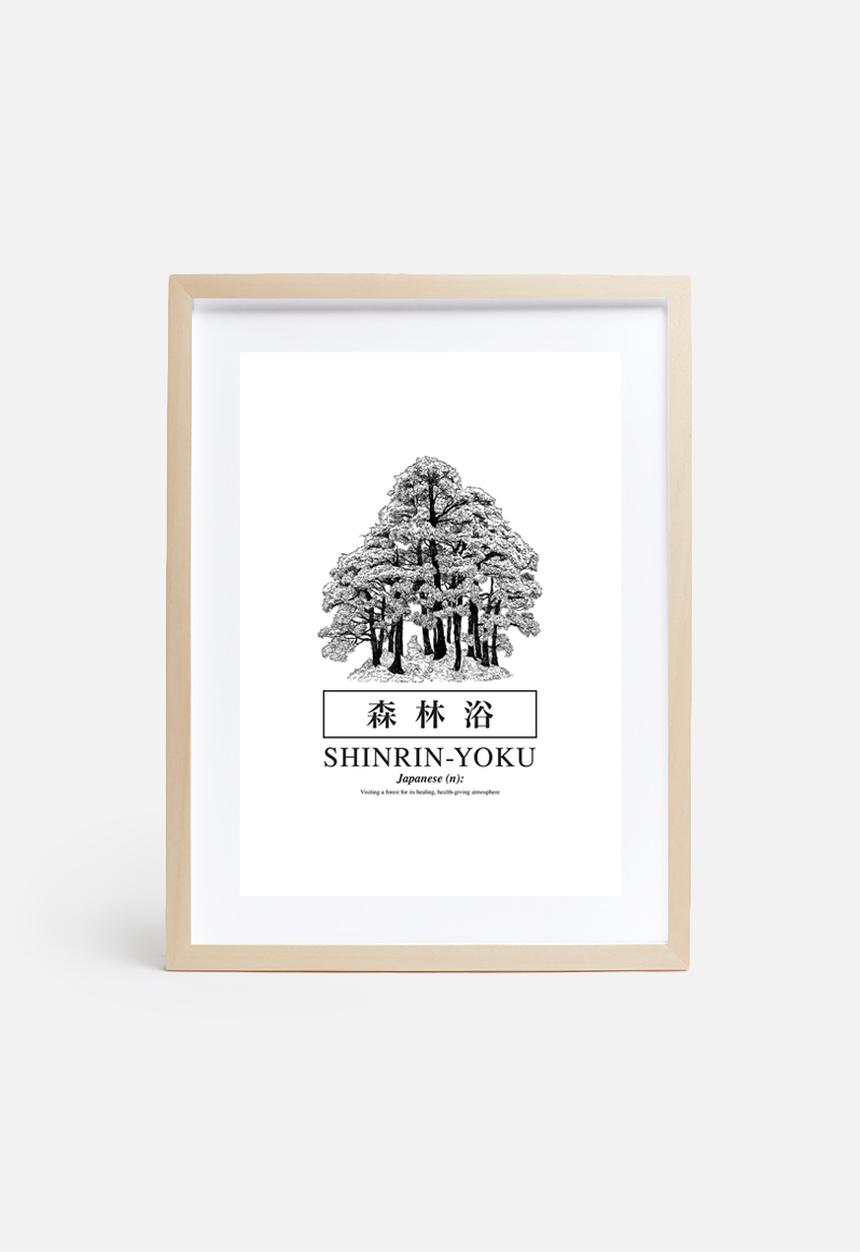 Sixth Floor - Shinrin-yoku