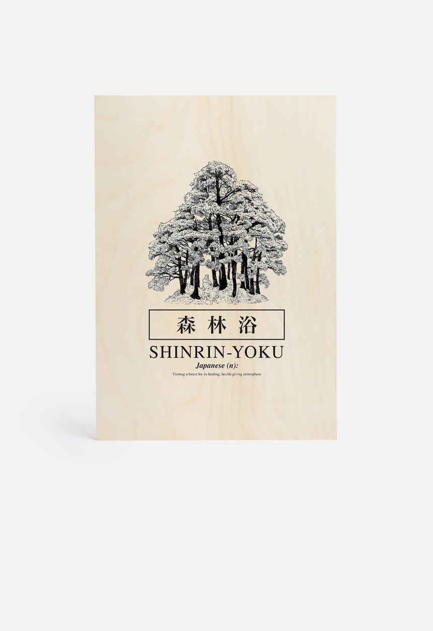 Sixth Floor - Shinrin-yoku