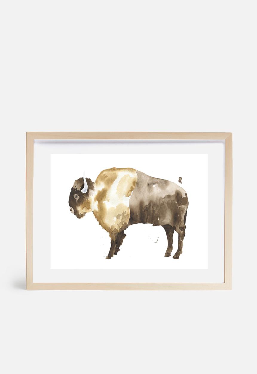The Aestate - Bison