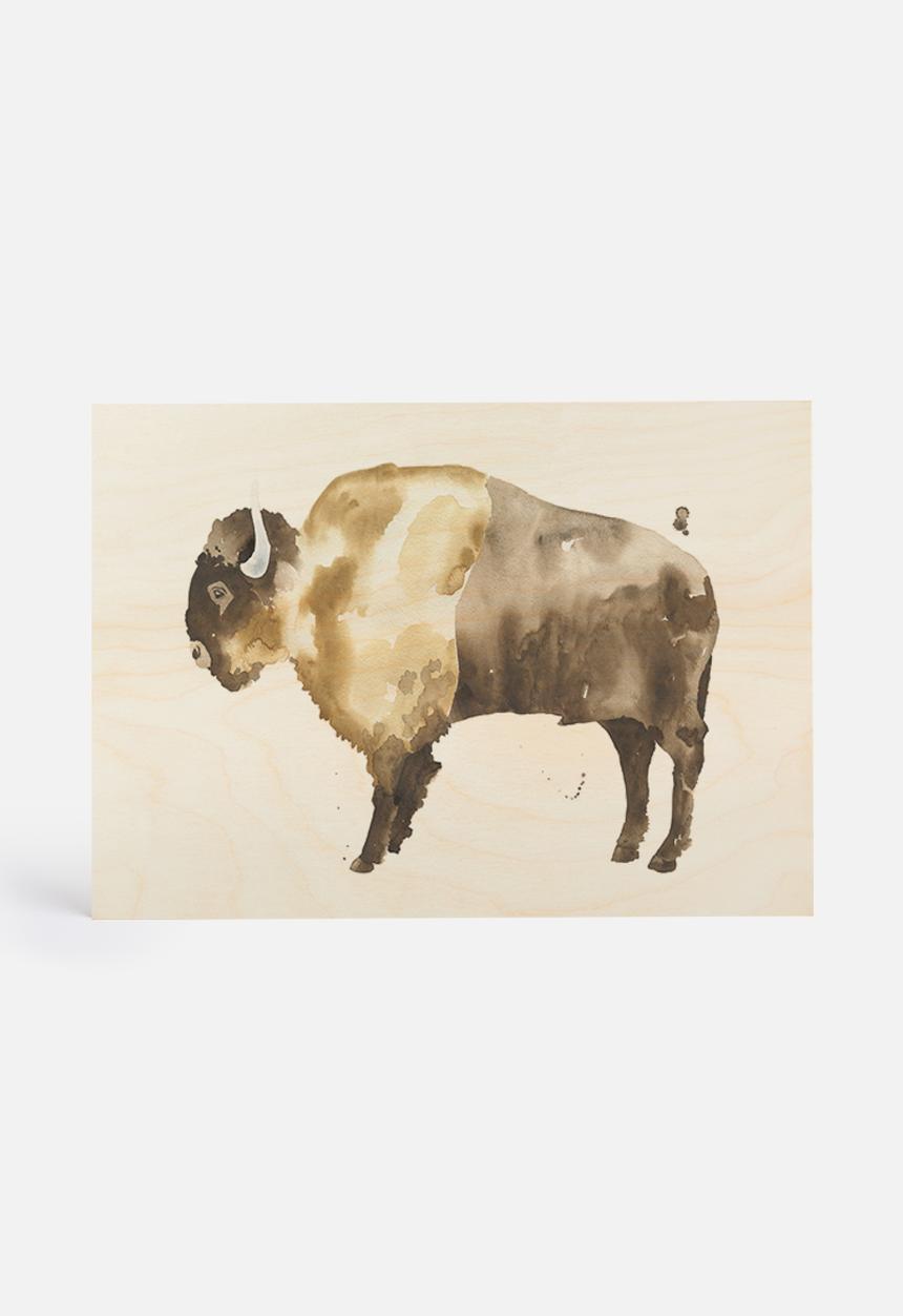 The Aestate - Bison
