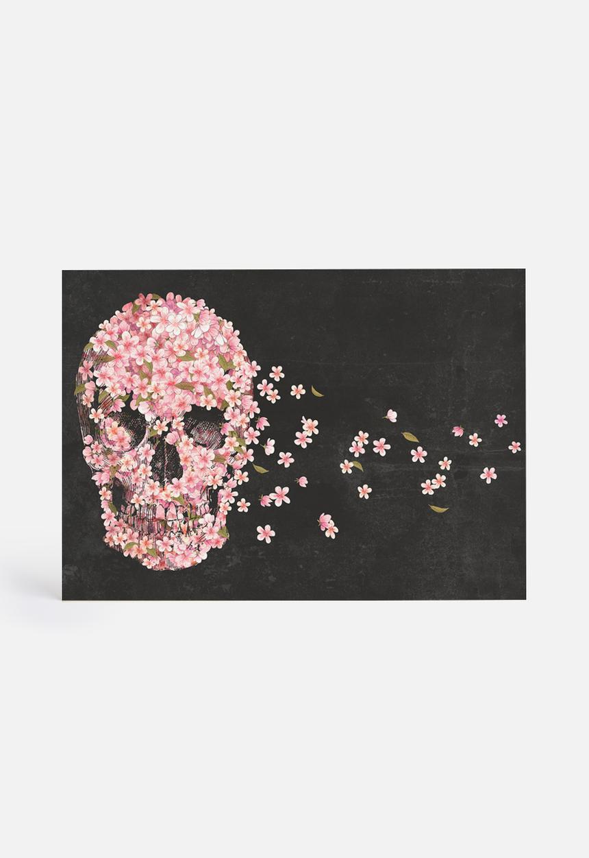Terry Fan - A Beautiful Death