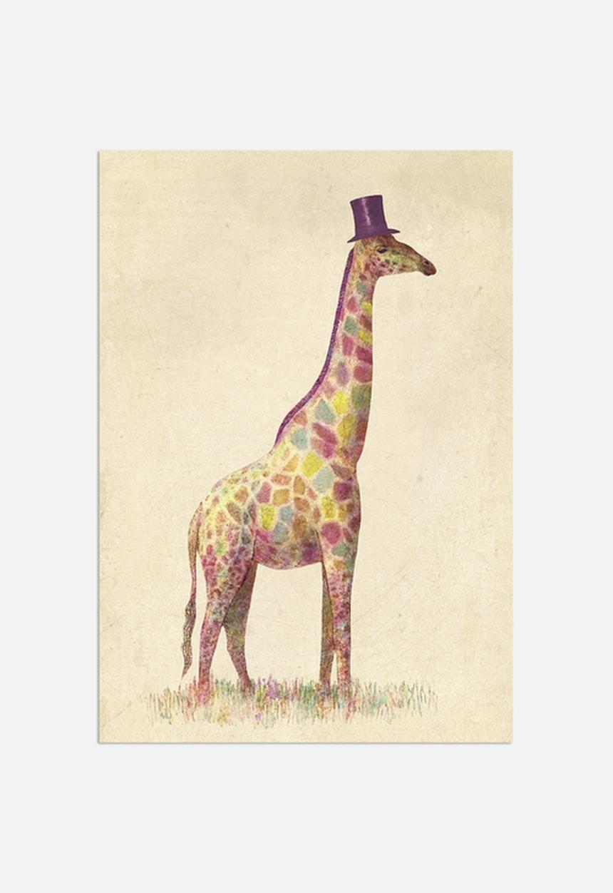 Terry Fan - Fashionable Giraffe