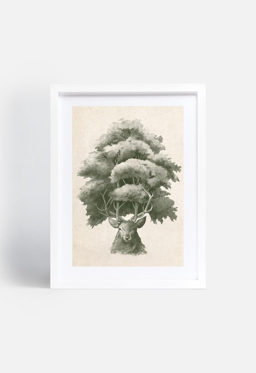 Terry Fan - Old Growth