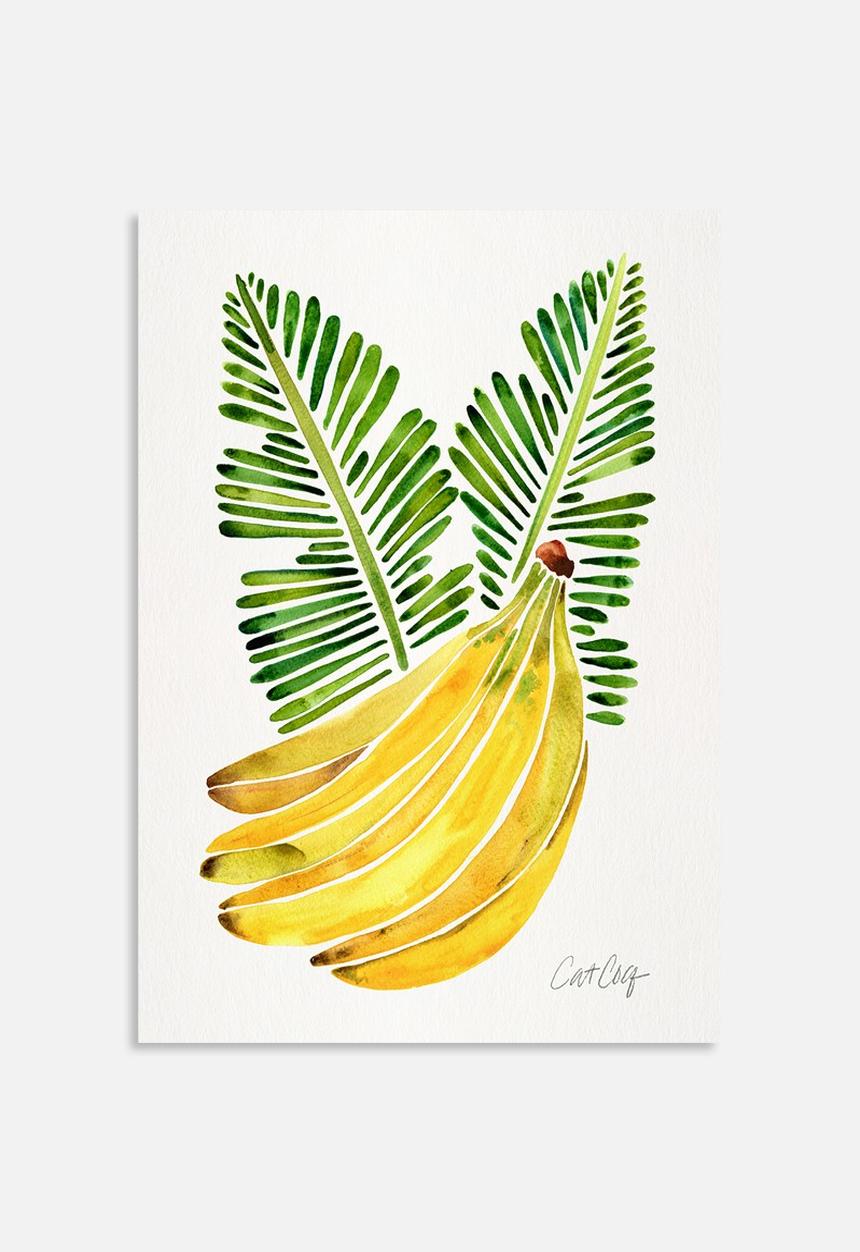 Cat Coquillette - Banana bunch