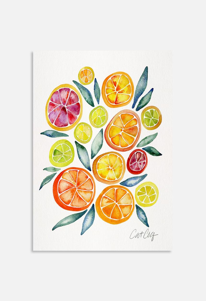 Cat Coquillette - Citrus slices