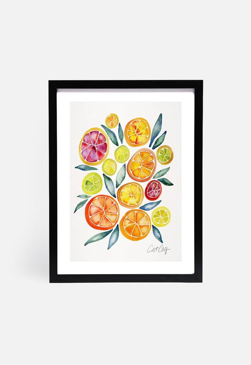 Cat Coquillette - Citrus slices