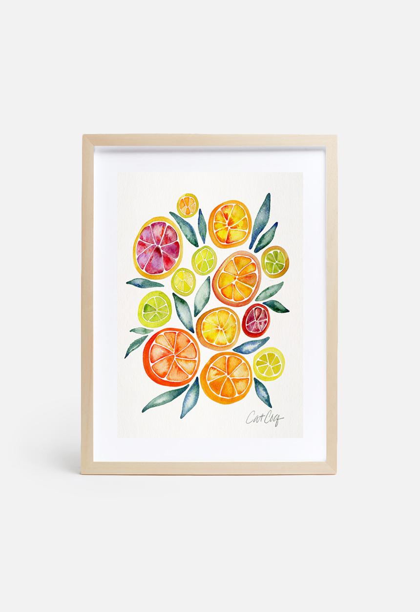 Cat Coquillette - Citrus slices