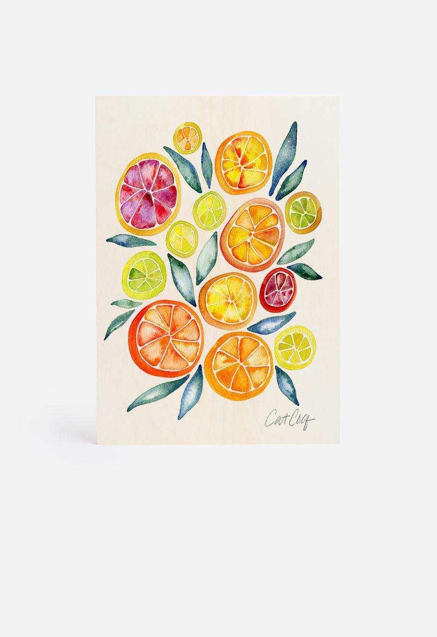 Cat Coquillette - Citrus slices