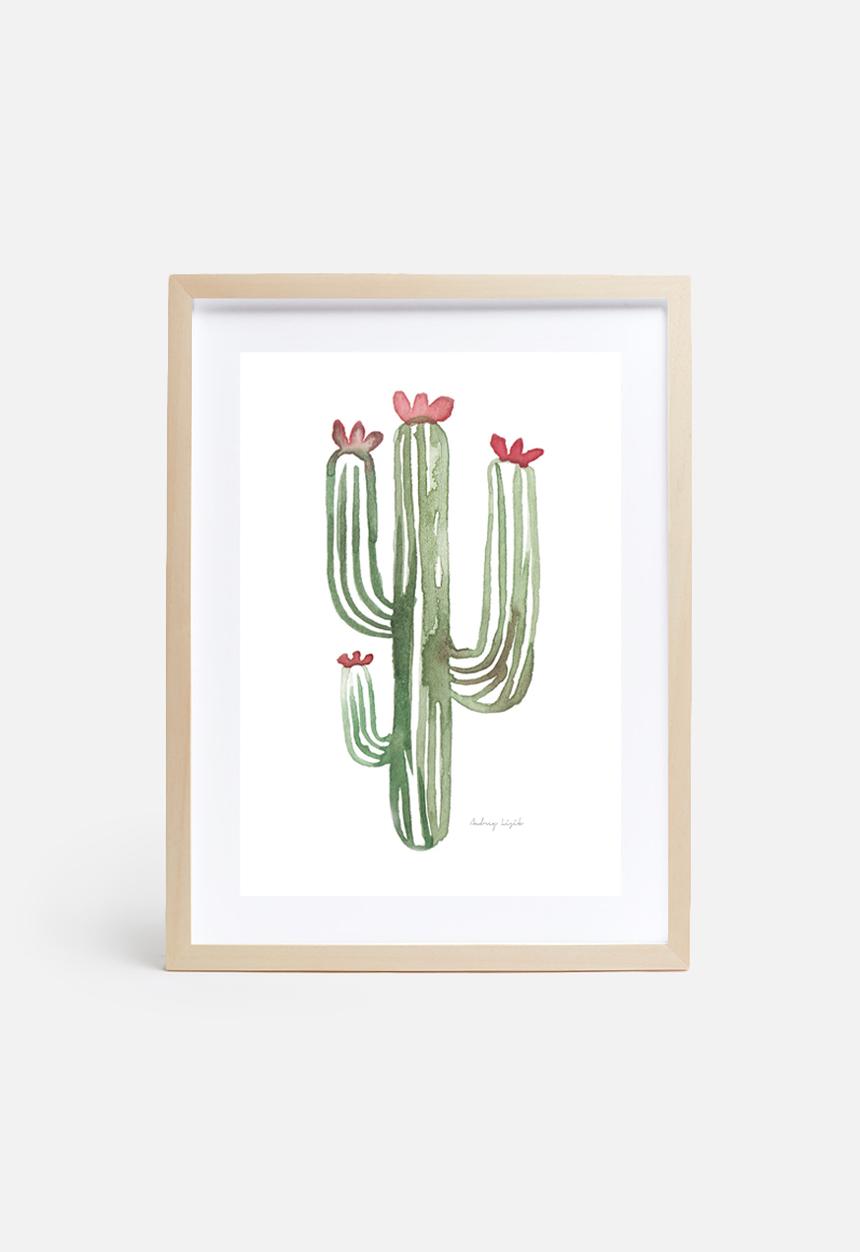 Stohne - Cactus cacti
