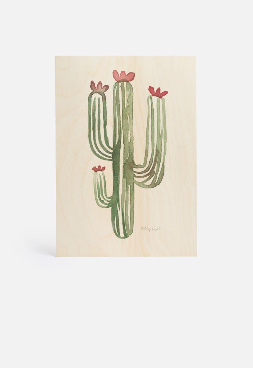 Stohne - Cactus cacti