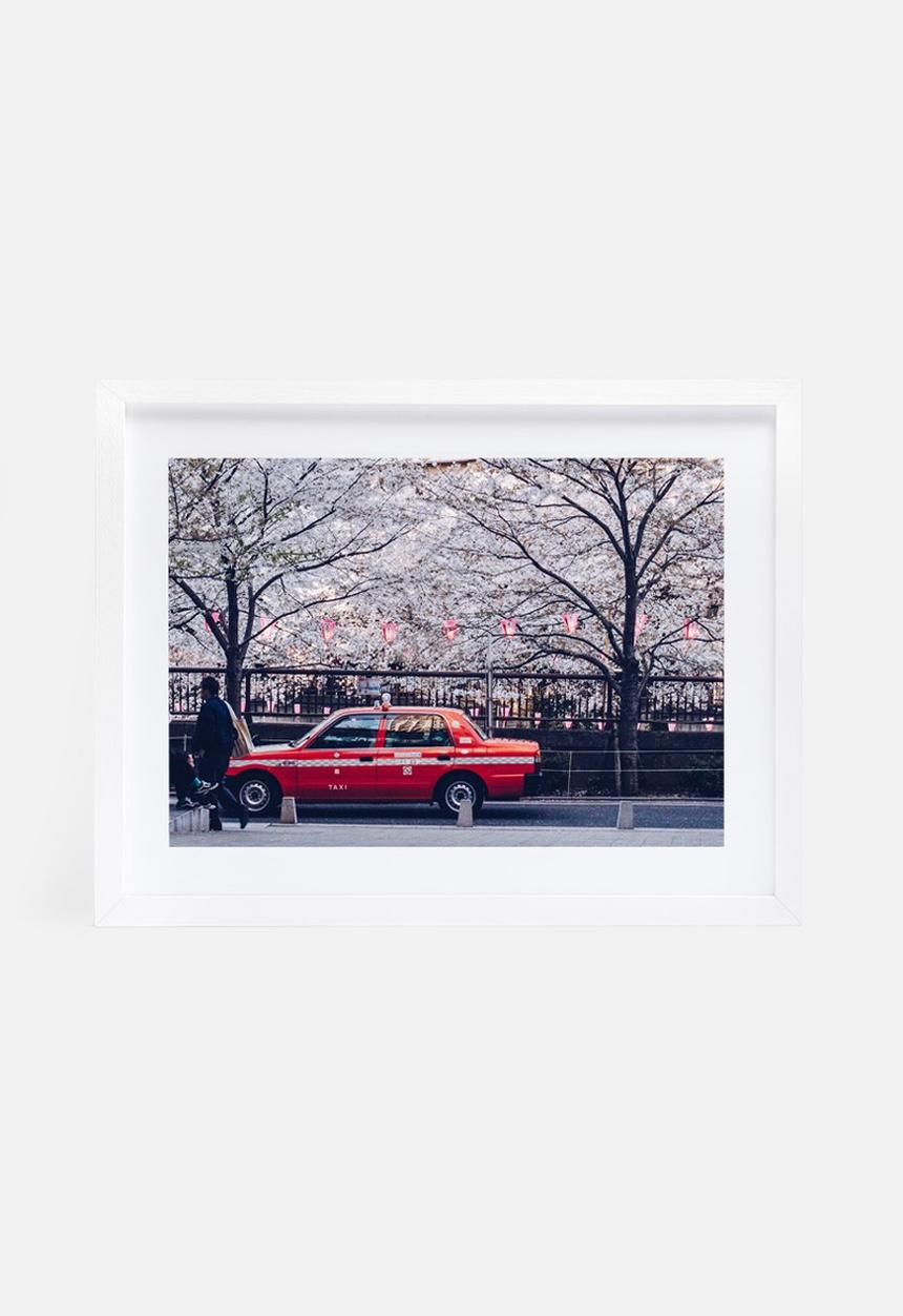 Dale Anne Scogings - Hanami