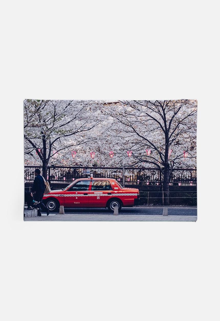Dale Anne Scogings - Hanami
