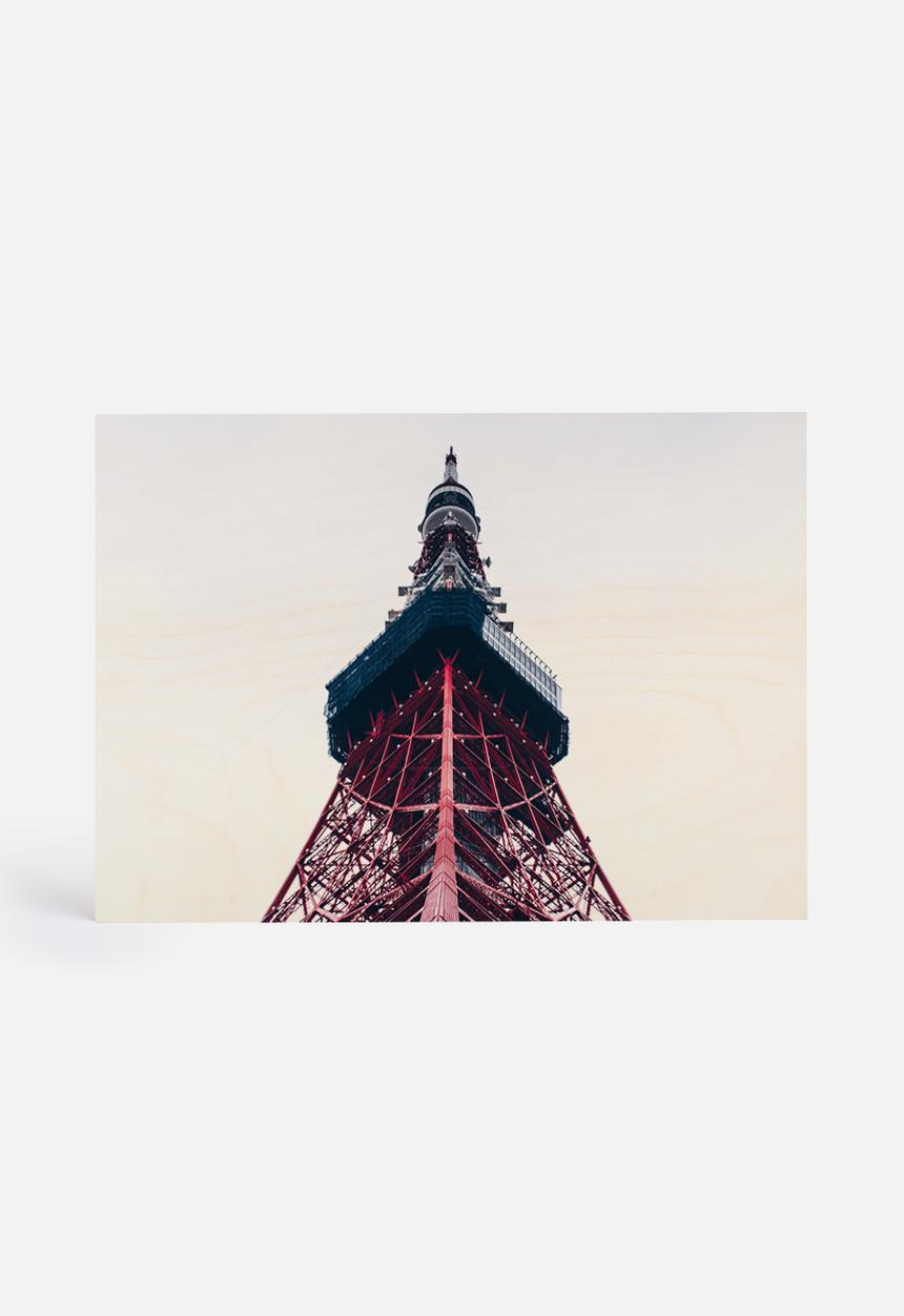 Dale Anne Scogings - Tokyo tower