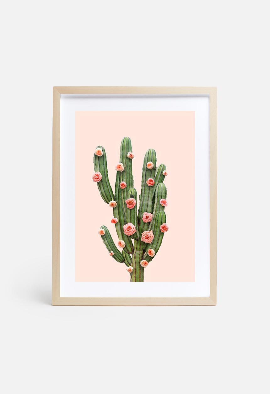 Paul Fuentes - Cactus and roses