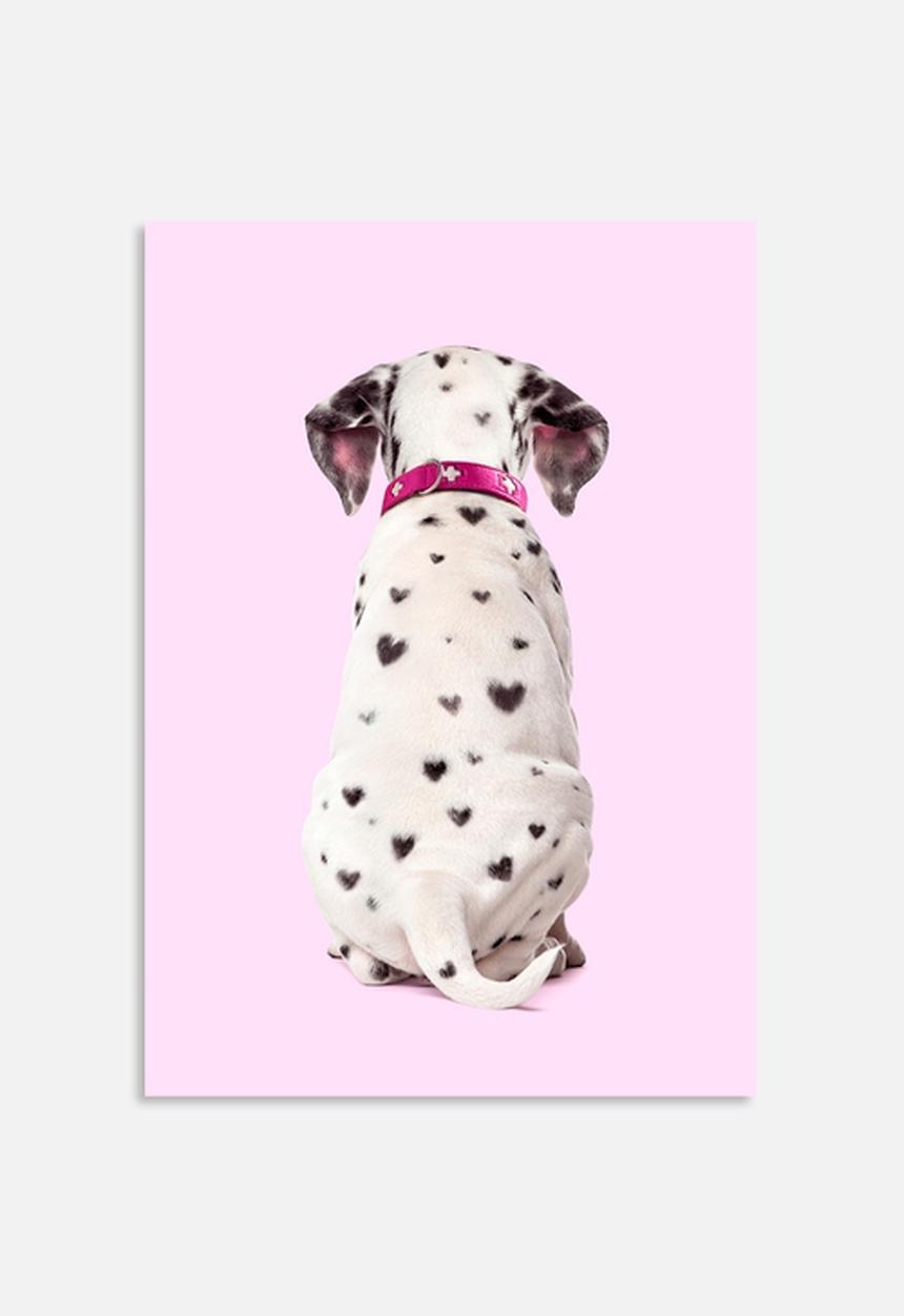 Paul Fuentes - Dalmatian hearts