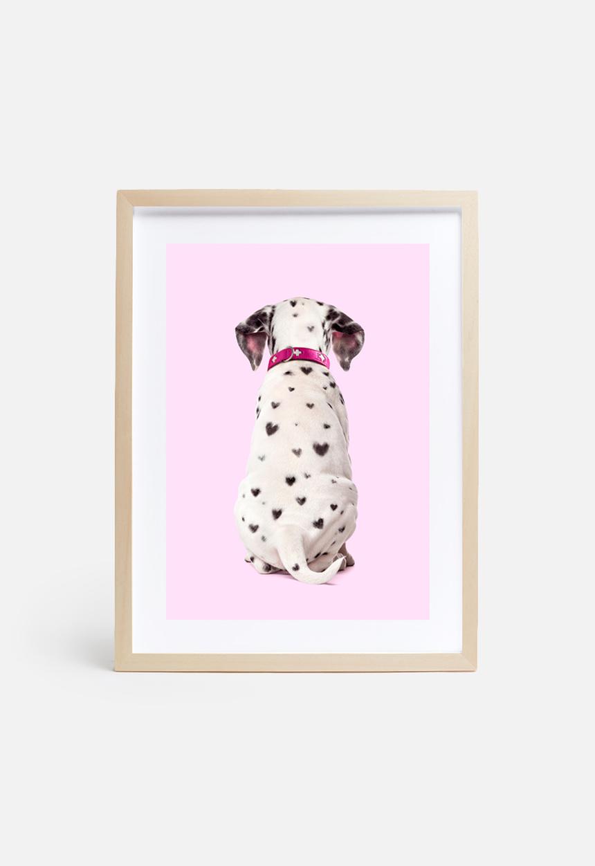 Paul Fuentes - Dalmatian hearts