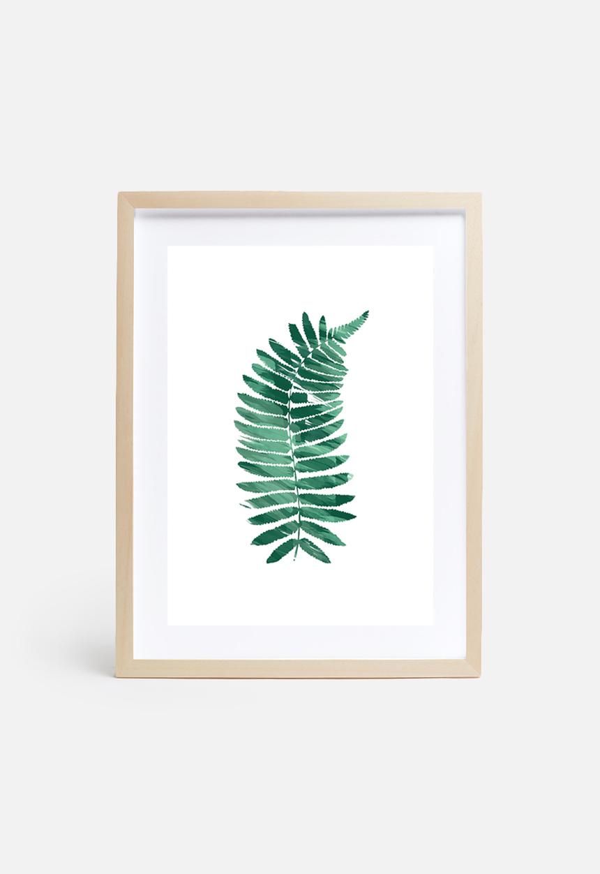The Glass Mountain - Fern