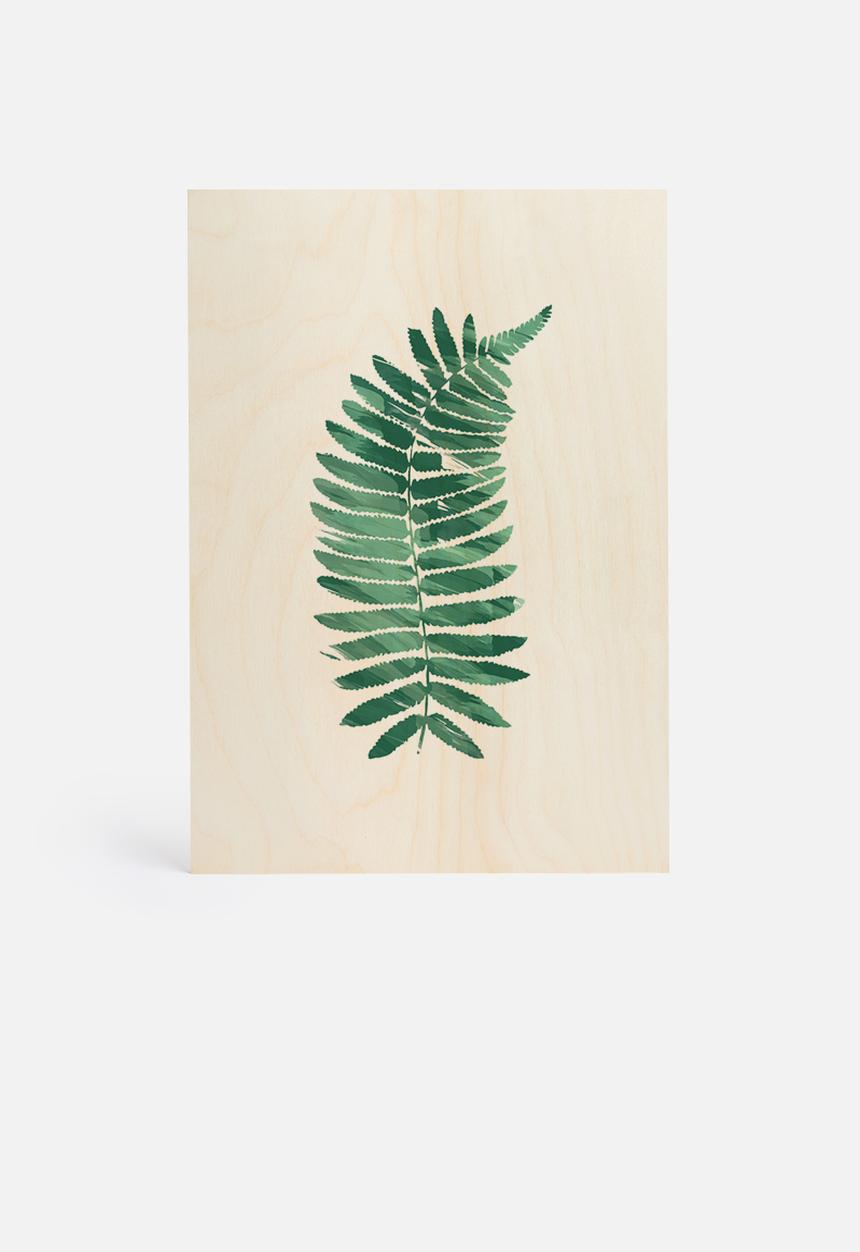 The Glass Mountain - Fern