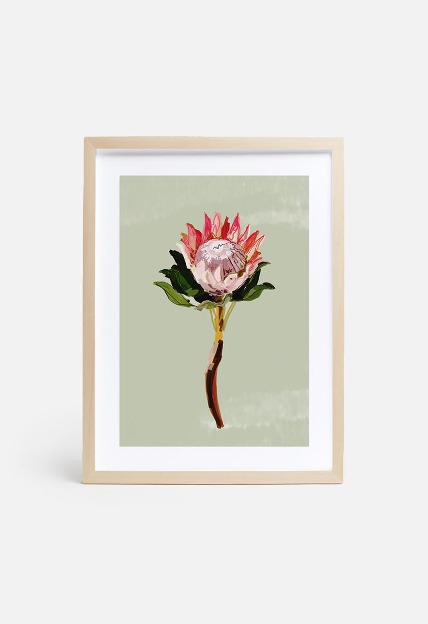 Sarah Allderman - Protea 1