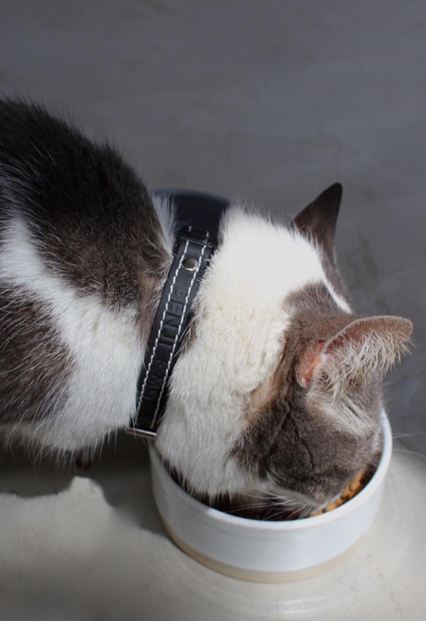 Benji & Moon - Leather cat collar - natural/black