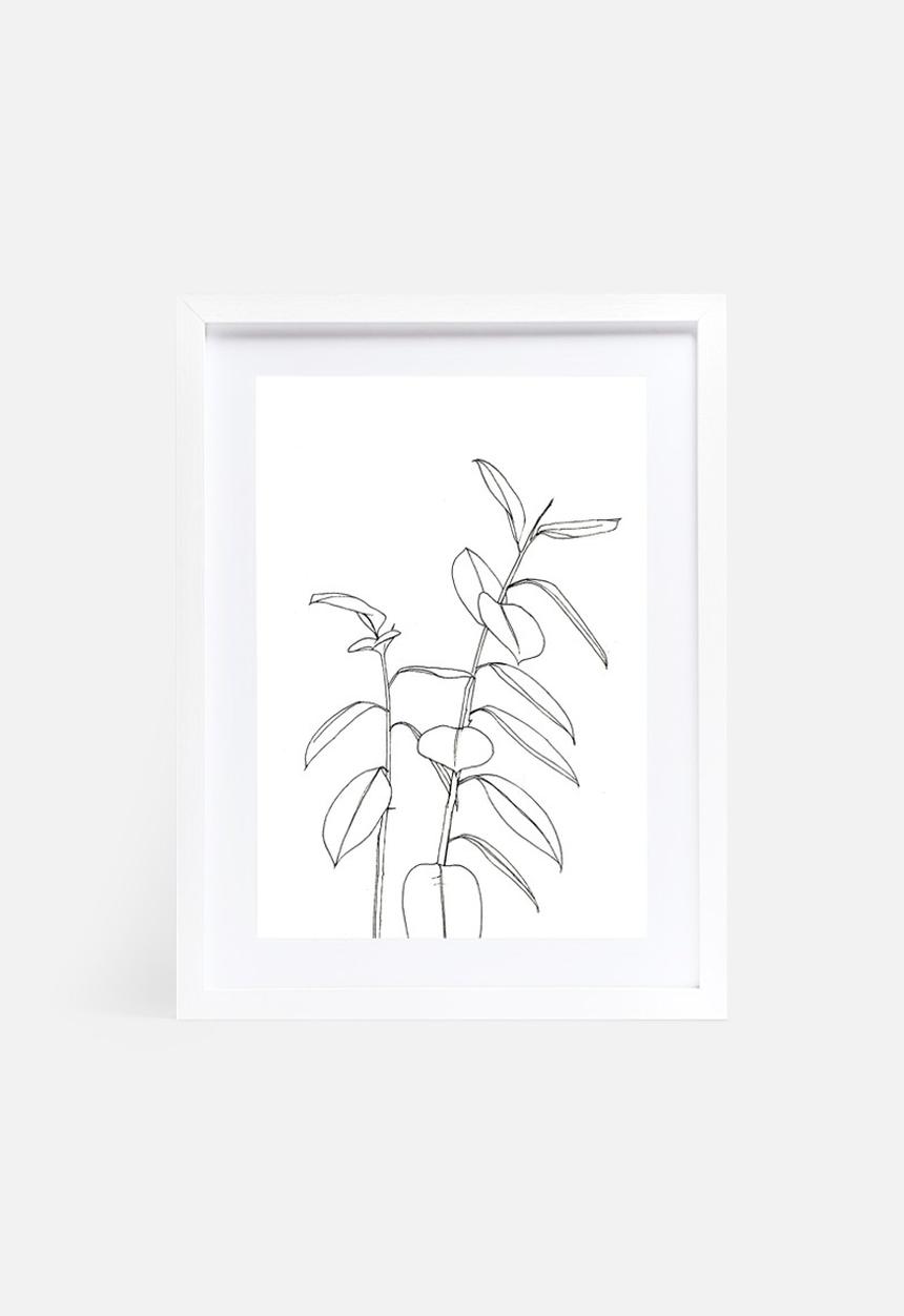 Jo & Elizabeth - New leaf
