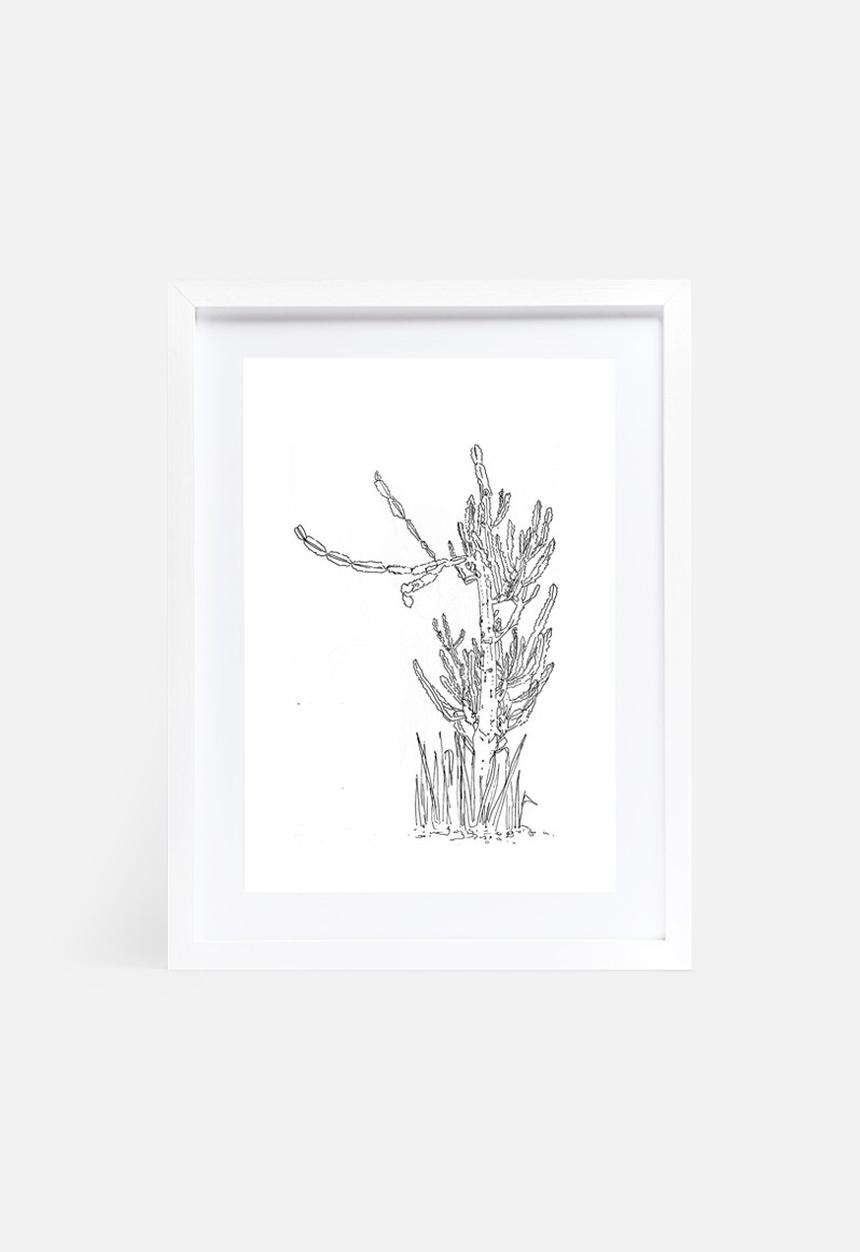 Jo & Elizabeth - The cactus