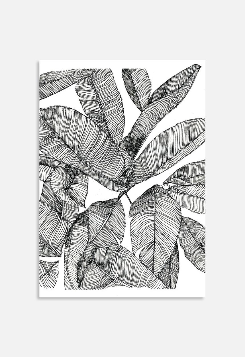 Jo & Elizabeth - Banana palms