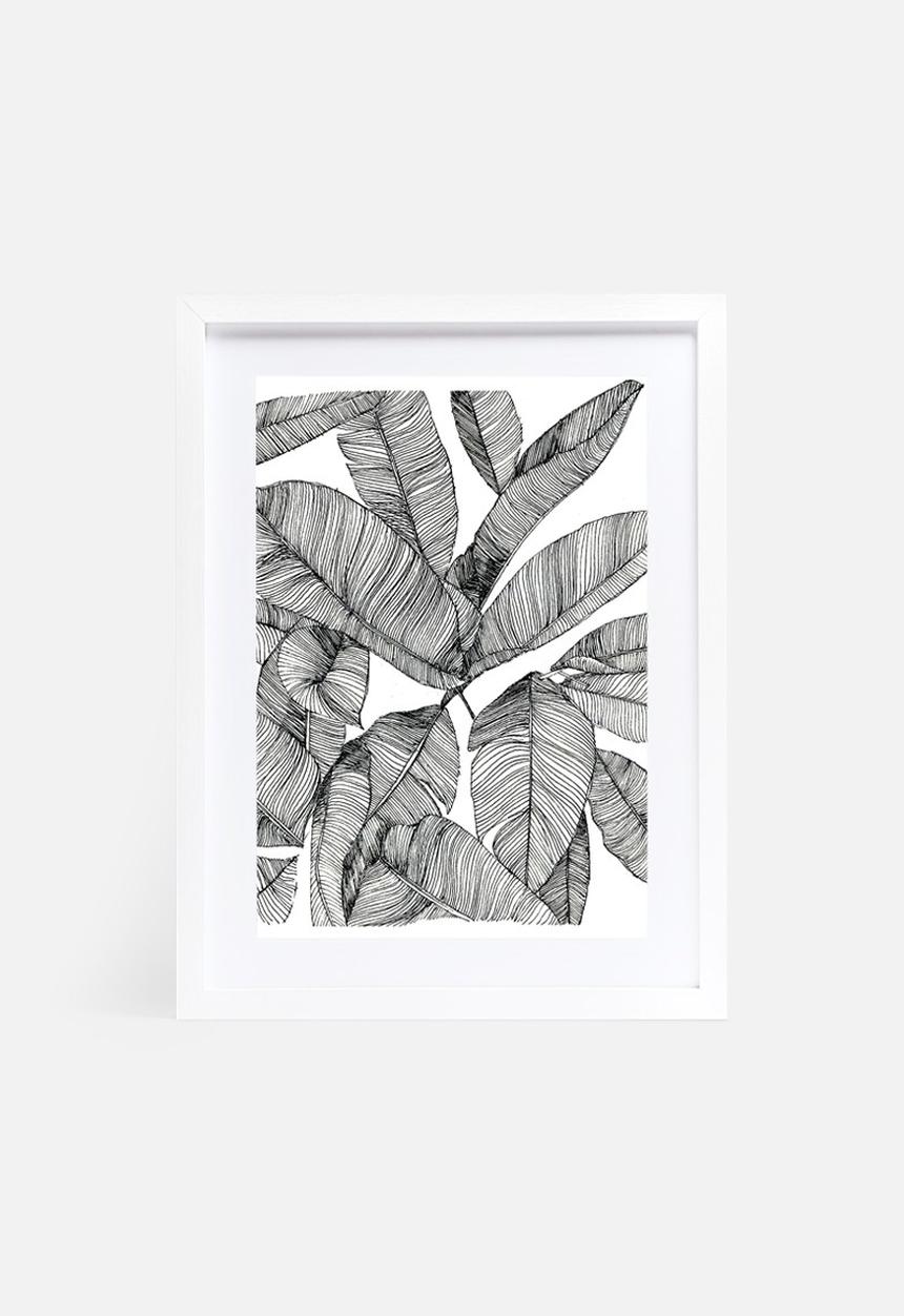 Jo & Elizabeth - Banana palms