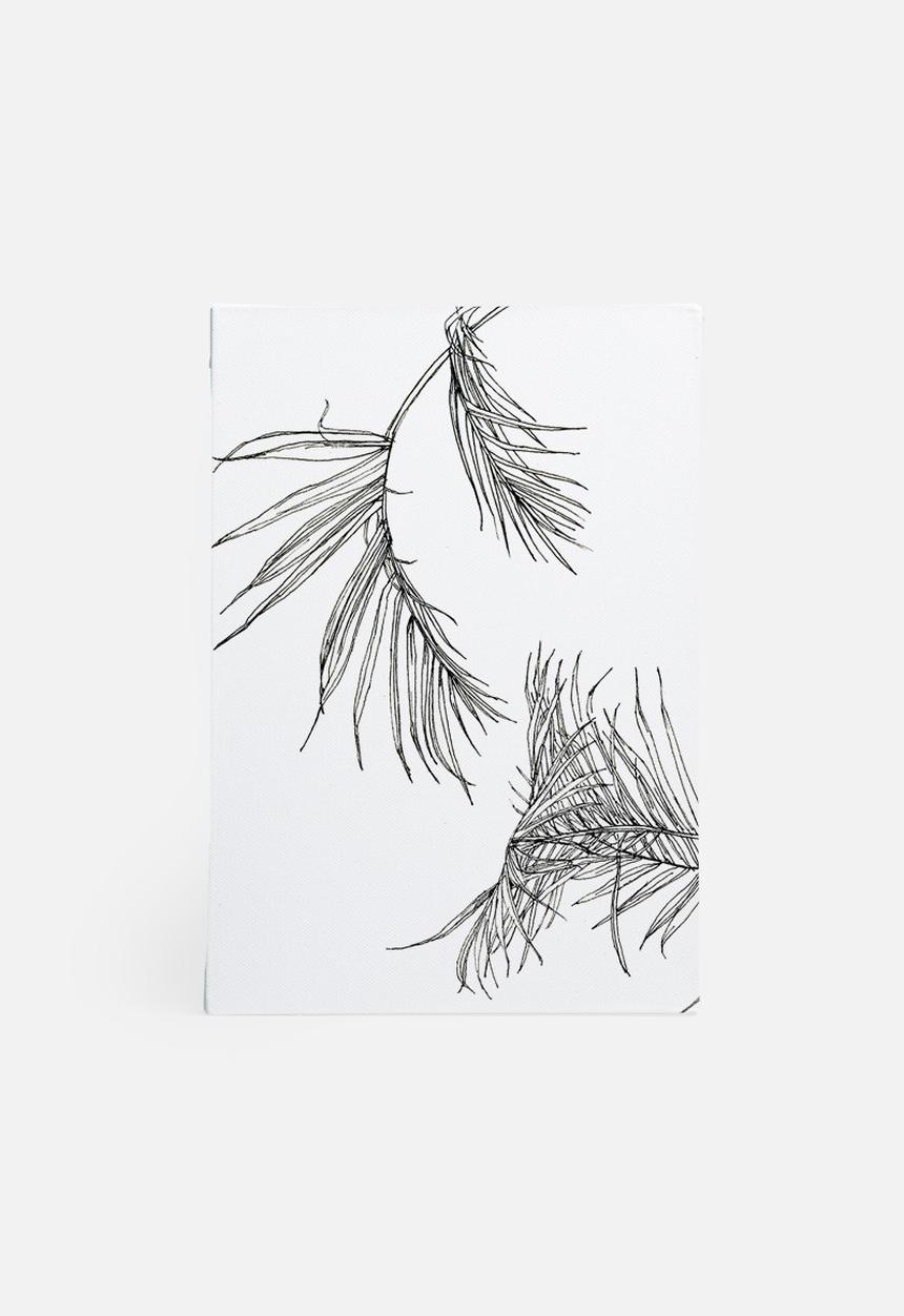 Jo & Elizabeth - Palms