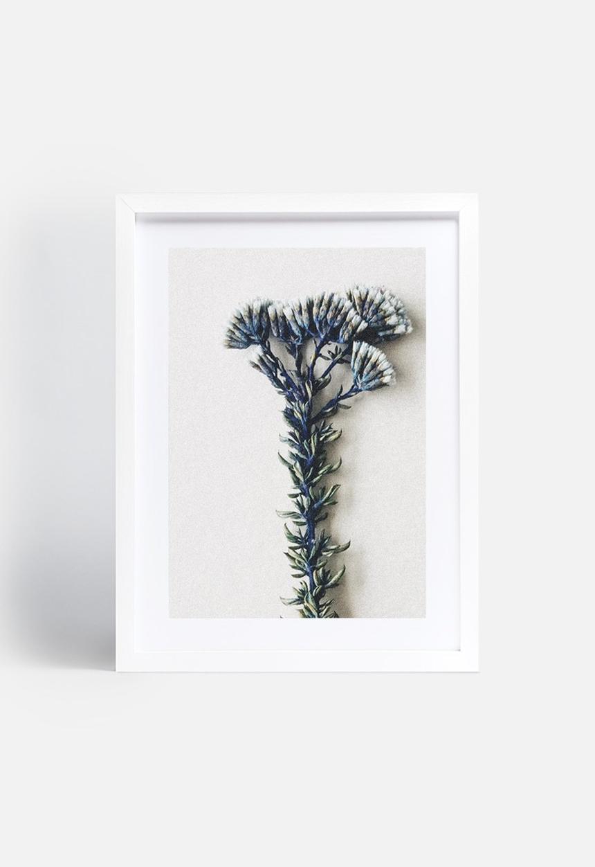 Sixth Floor - Fynbos 3