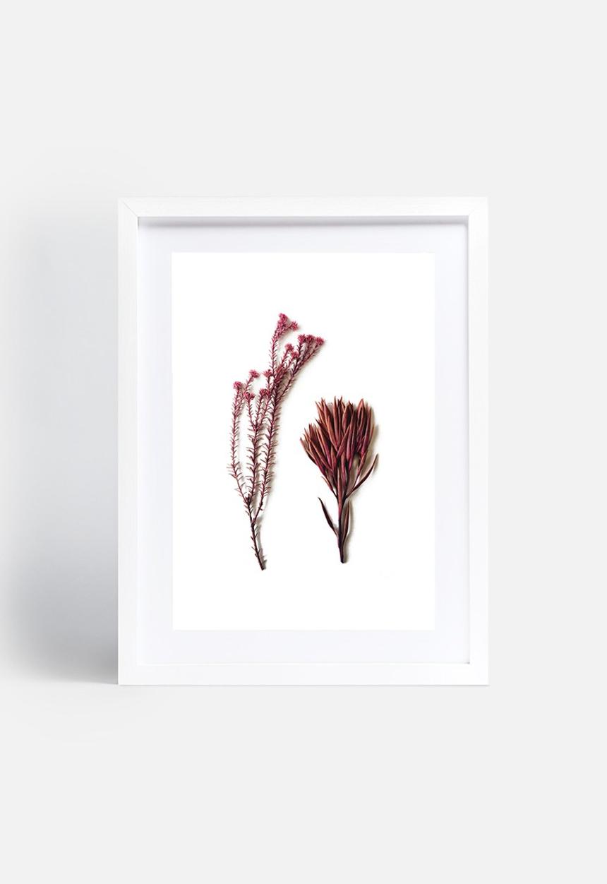 Sixth Floor - Fynbos 1