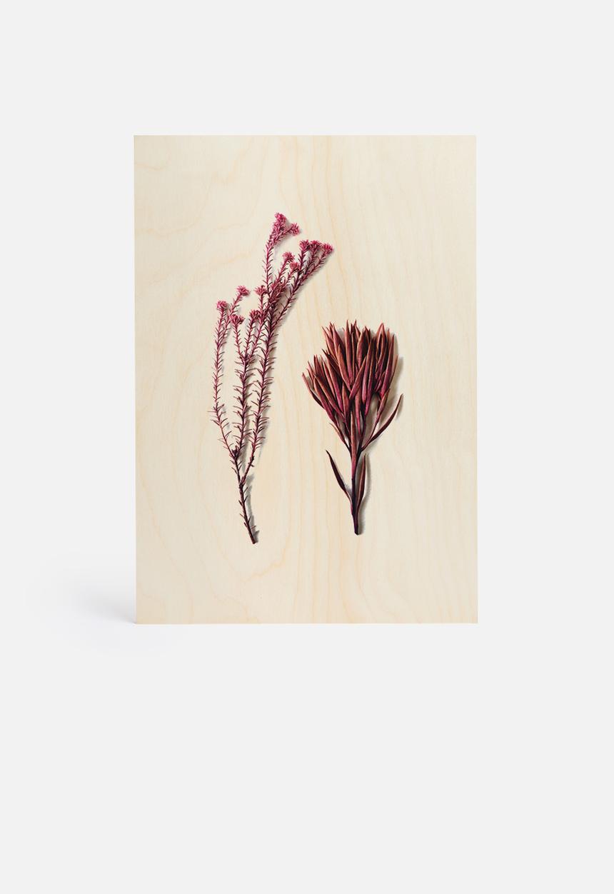 Sixth Floor - Fynbos 1