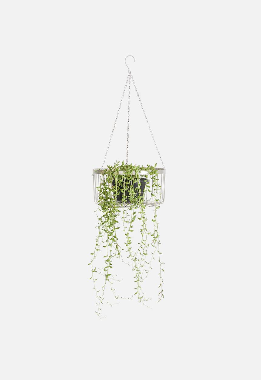 Sixth Floor - Hanging planter set - silver