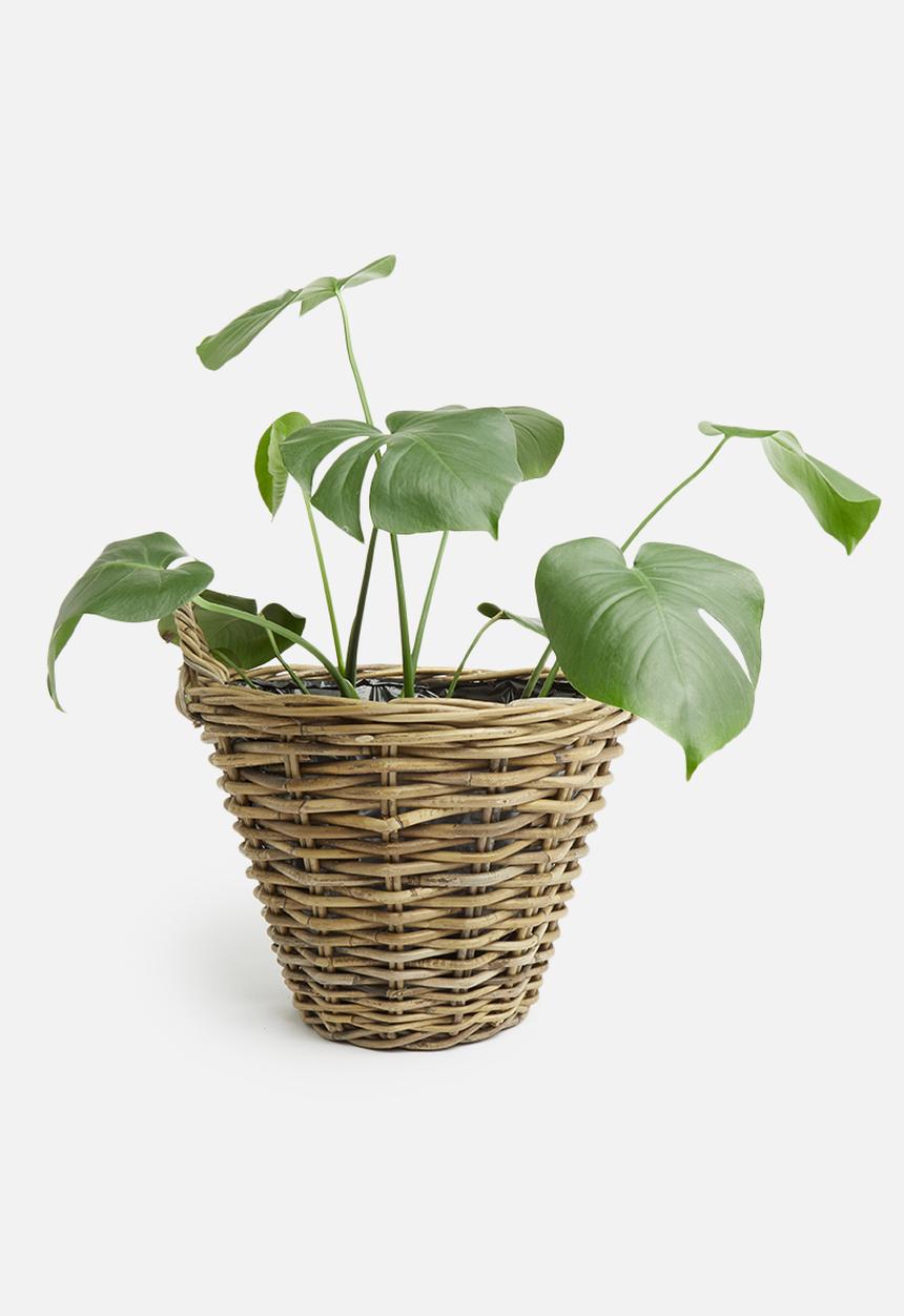 H&S - Kubu rattan basket - brown