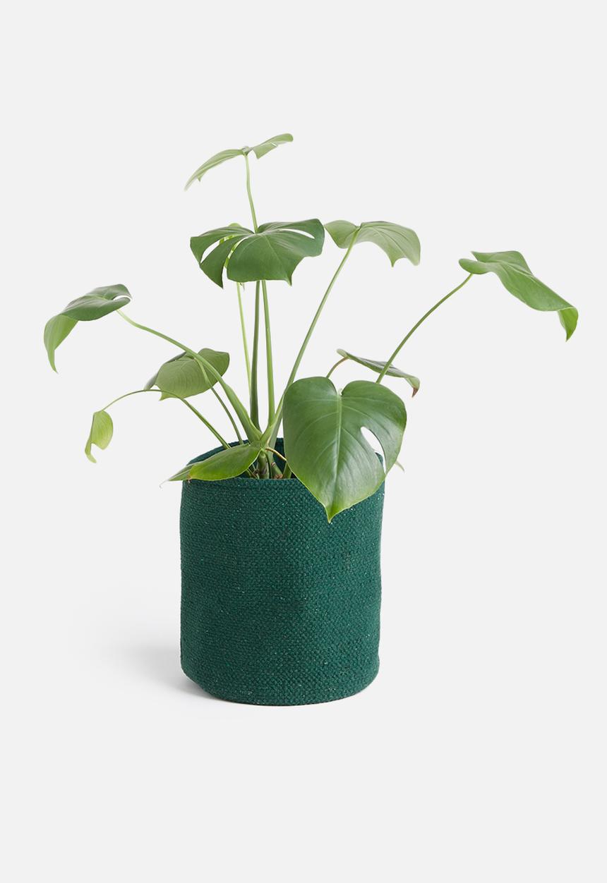 Sixth Floor - Sona cotton basket - forest green
