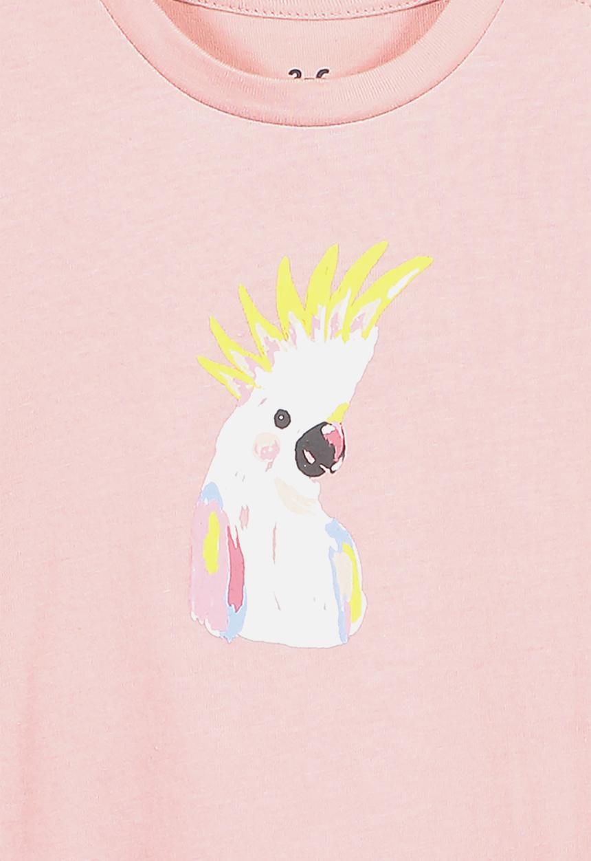 Cotton On - Jamie short sleeve tee - zephyr/cockatoo