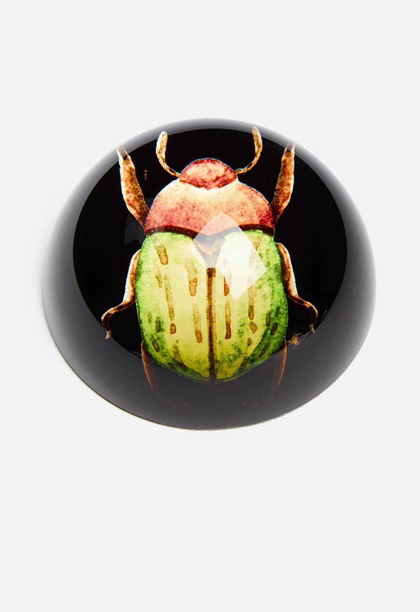 H&S - Insect paper weight - fat green & orange