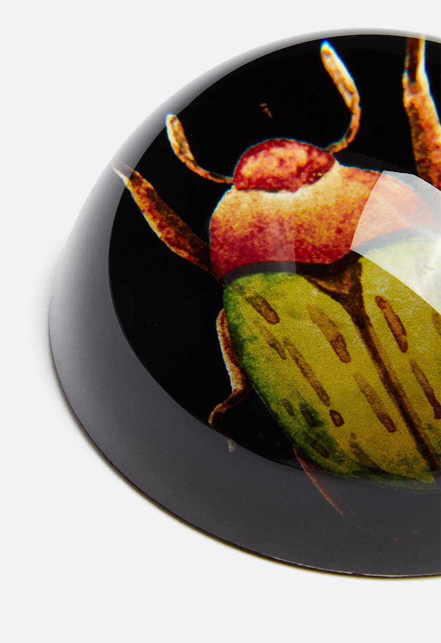 H&S - Insect paper weight - fat green & orange
