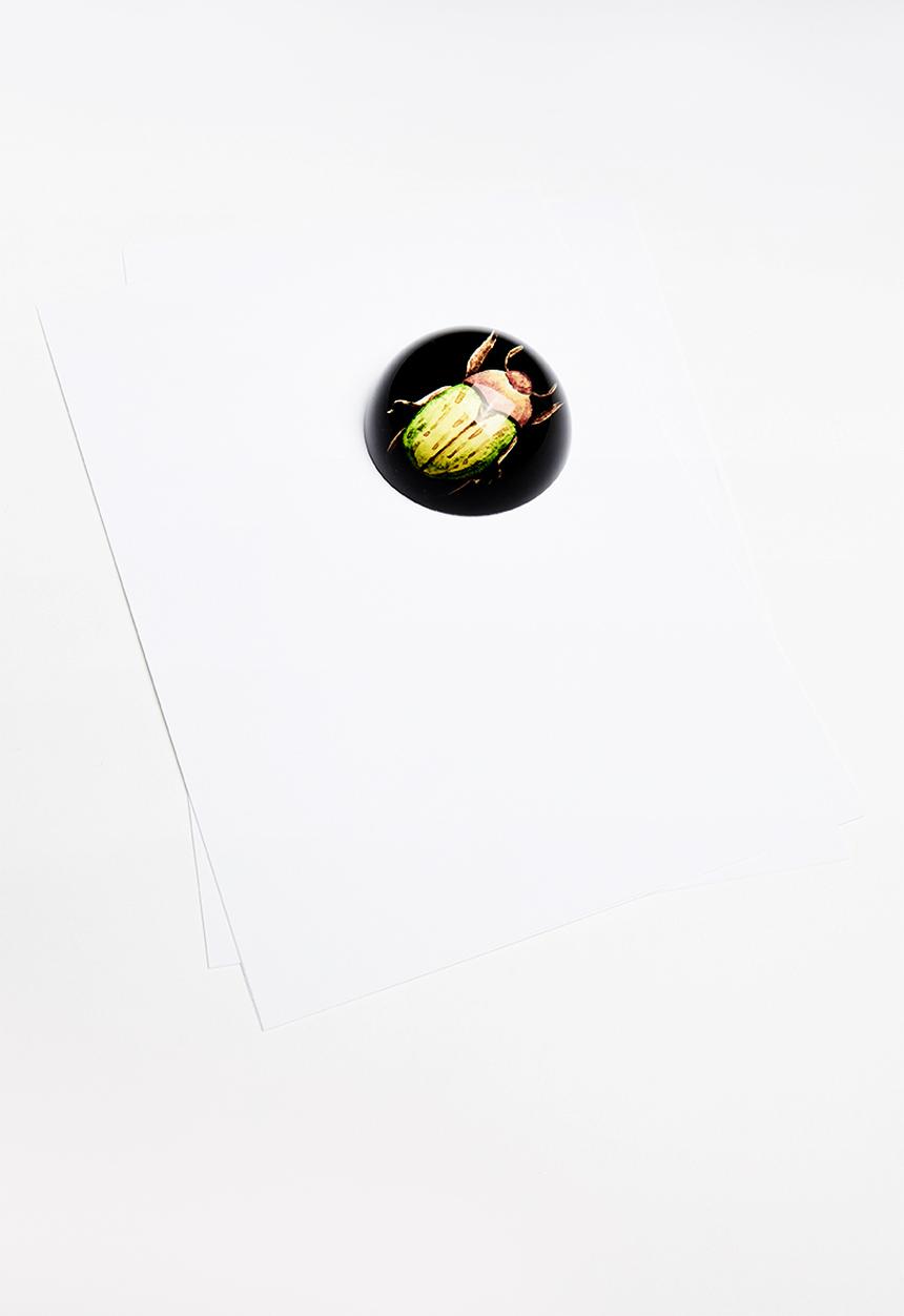 H&S - Insect paper weight - fat green & orange