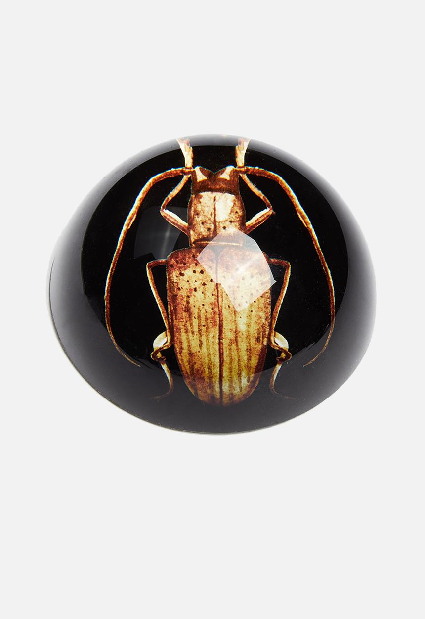 H&S - Insect paper weight - brown