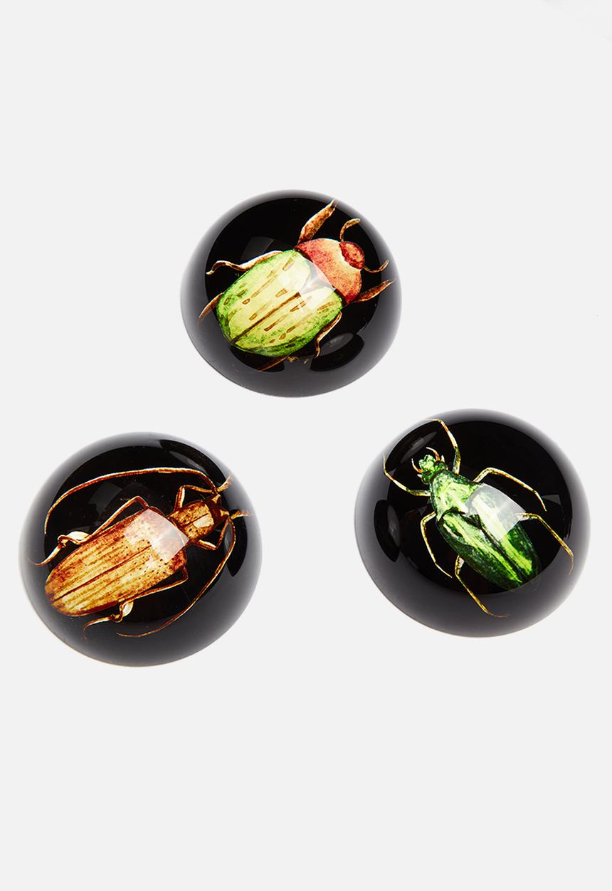 H&S - Insect paper weight - brown