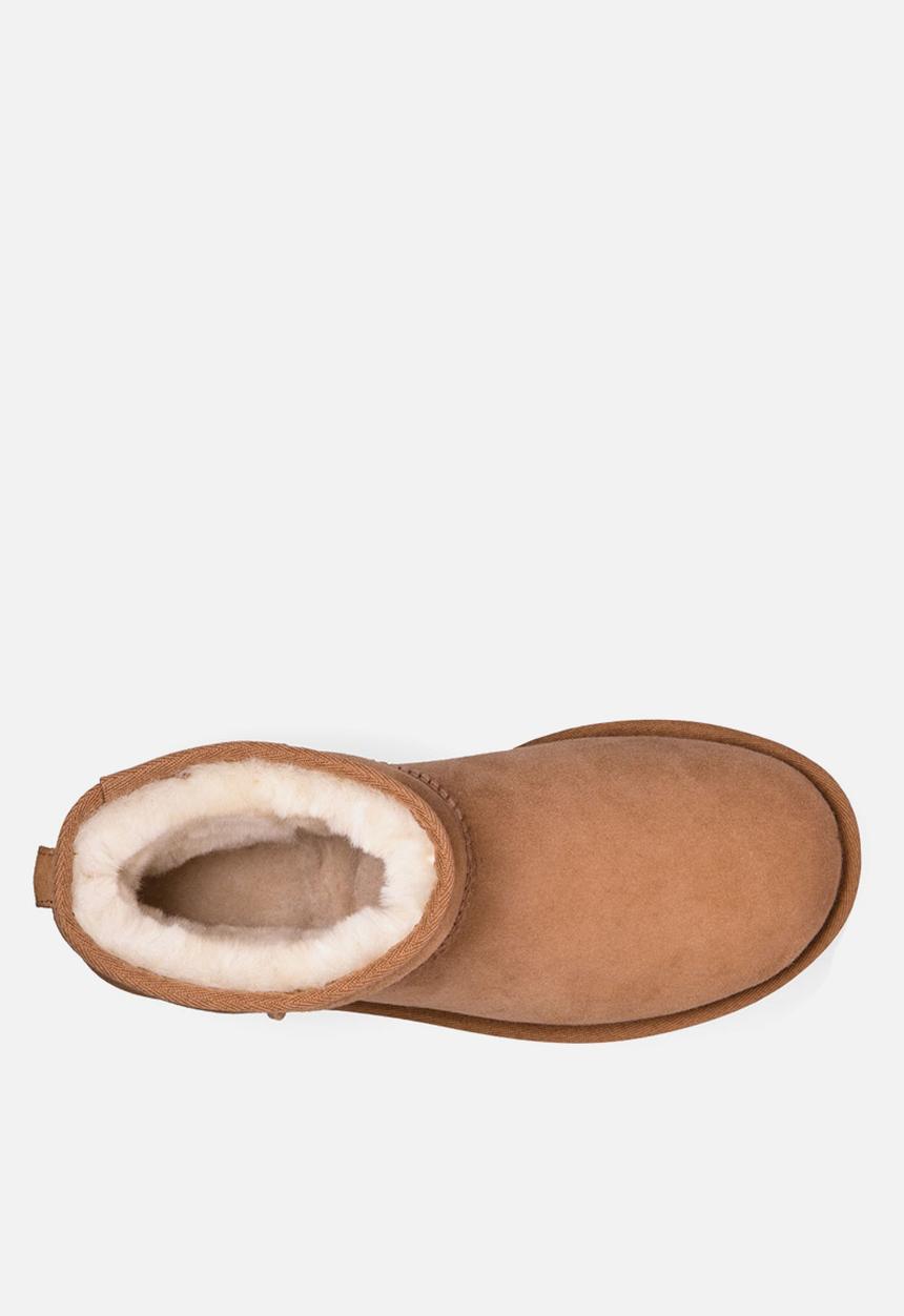 UGG® - Classic mini ii - chestnut