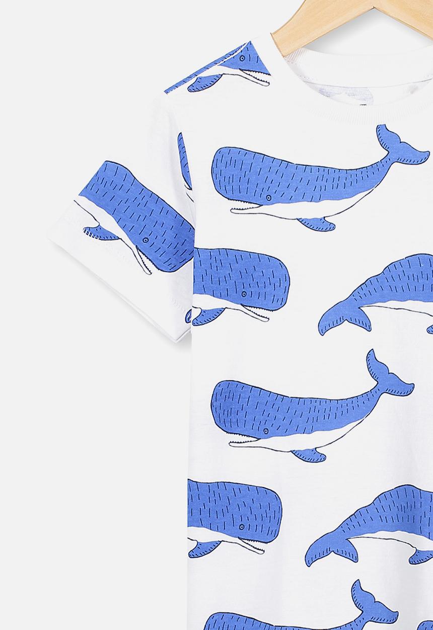 Cotton On - Max short sleeve tee - white & blue 