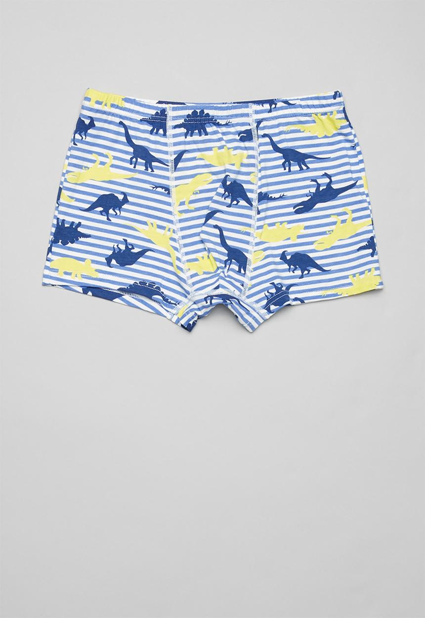 Pop Candy - Boys printed briefs - grey & green