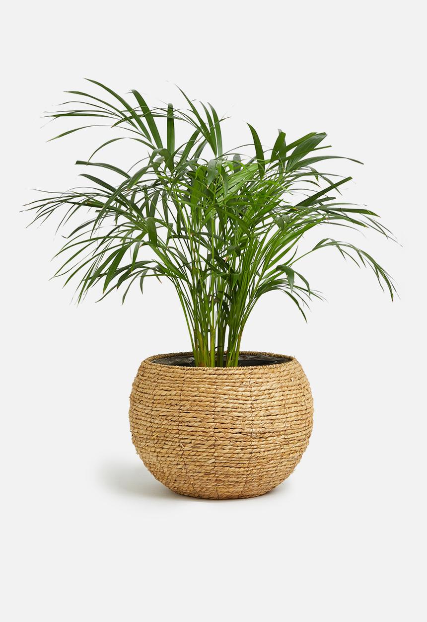 Sixth Floor - Banjar floor planter - brown