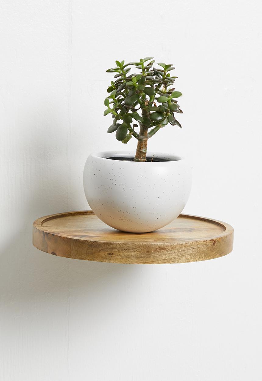 Sixth Floor - Tia shelf - natural